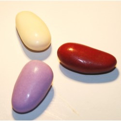 Dragée Amande Mini Princesse Verni (500 grs)
